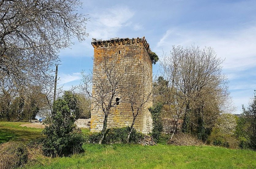 Castillo de Castroverde de Cerrato, Spain